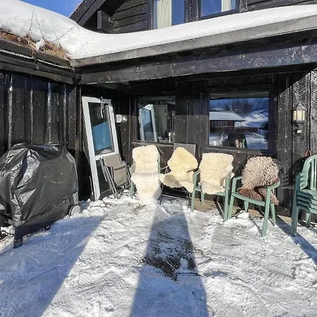 Pet Friendly In I Setesdal Hébergement de vacances *